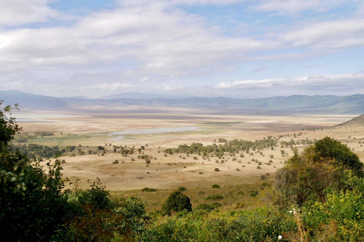 Ngorongoro Crater