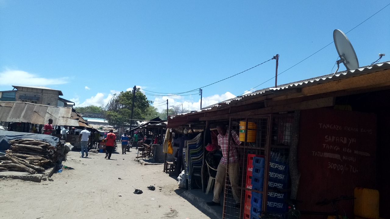 Bagamoyo fish market