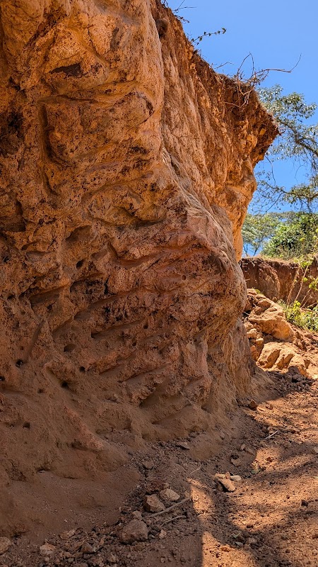 Elephant Cave (Empakaai forest)