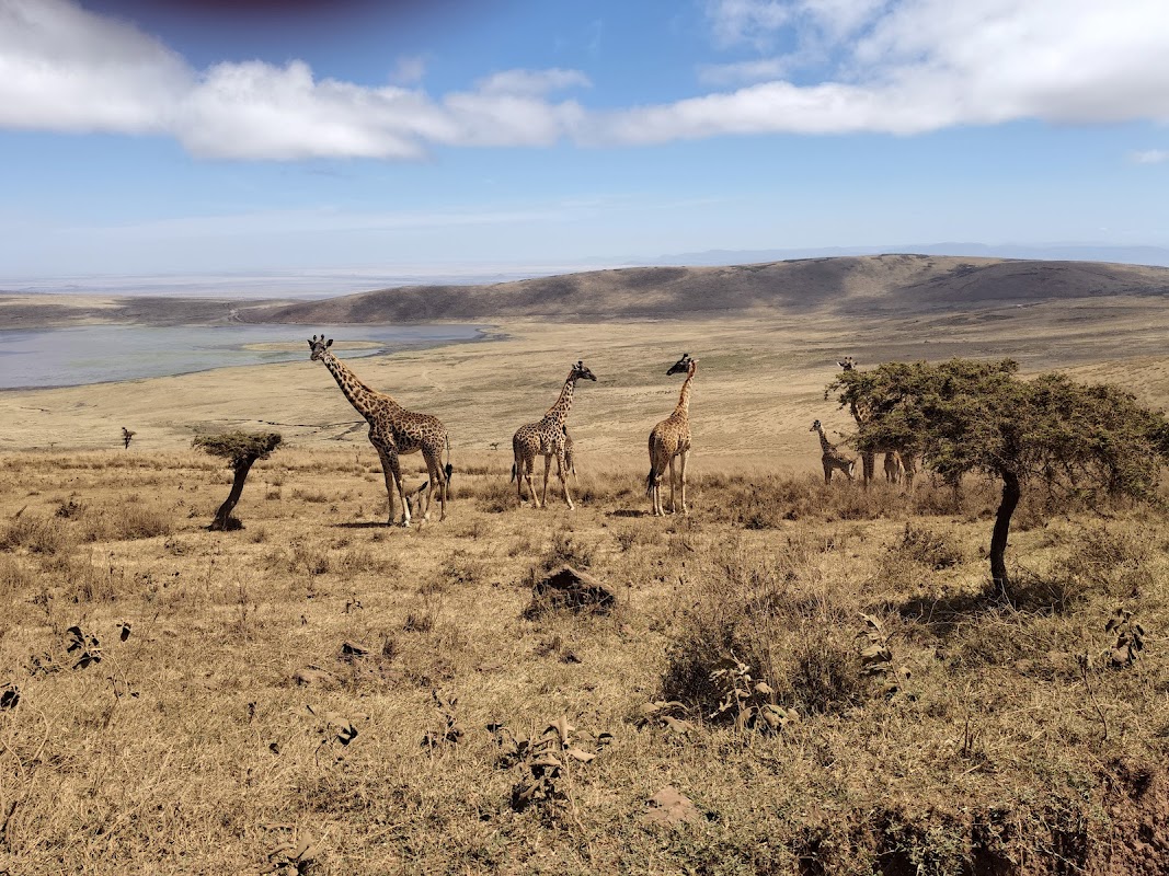 Highlands walking safari