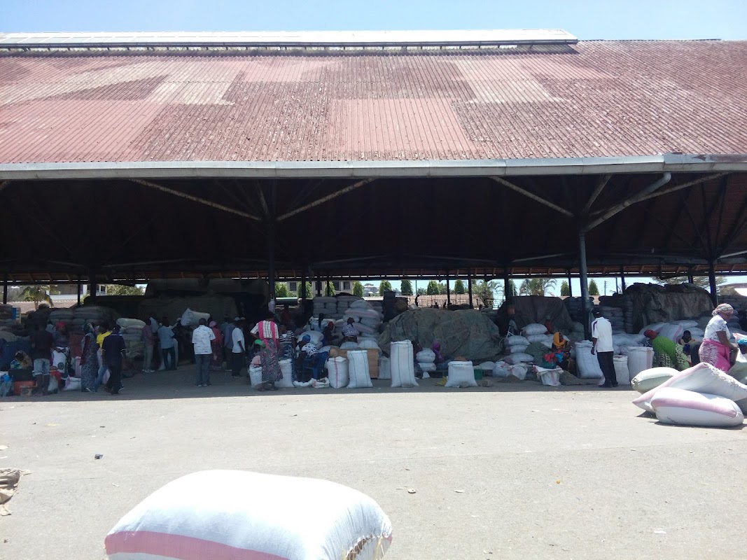 Mwanza fish market & port