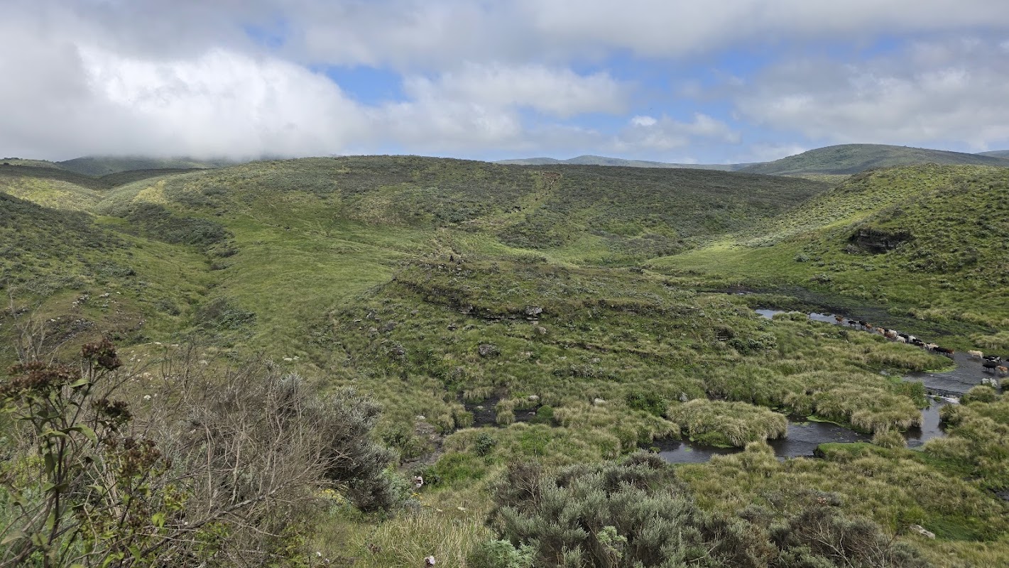 Olmoti Crater