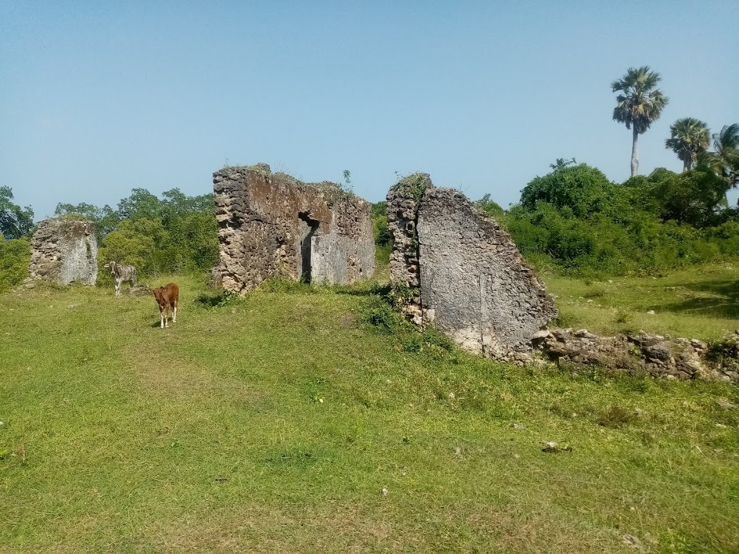 Ras Mkumbuu ruins